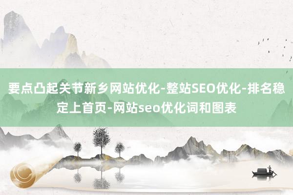要点凸起关节新乡网站优化-整站SEO优化-排名稳定上首页-网站seo优化词和图表