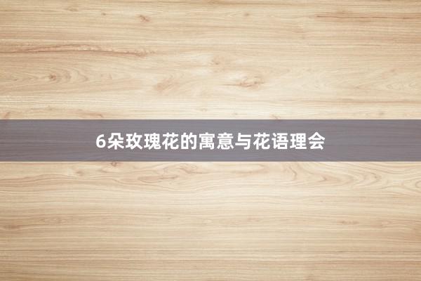 6朵玫瑰花的寓意与花语理会