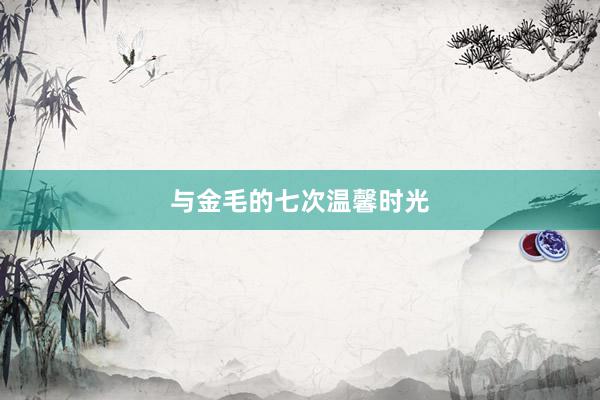 与金毛的七次温馨时光